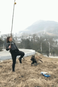 搞笑gif:隔着屏幕我都听到了惨叫声