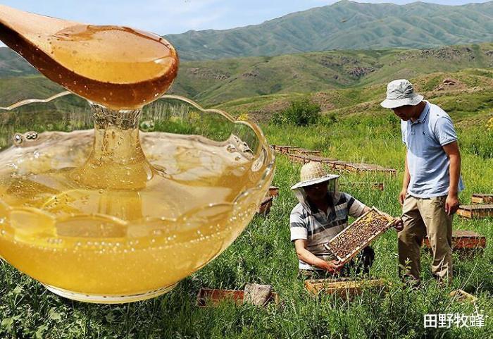 直接涂蜂蜜橄榄油功效，橄榄油加蜂蜜能祛斑吗?