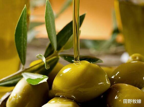 直接涂蜂蜜橄榄油功效，橄榄油加蜂蜜能祛斑吗?