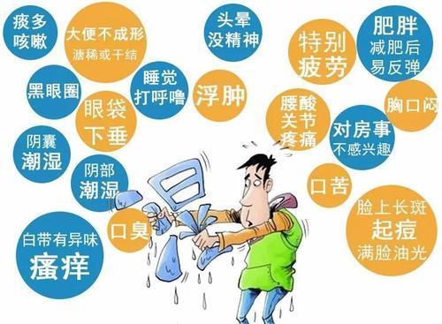 “湿气”太重怎么办？每天坚持这几个好习惯，湿气很快就离开