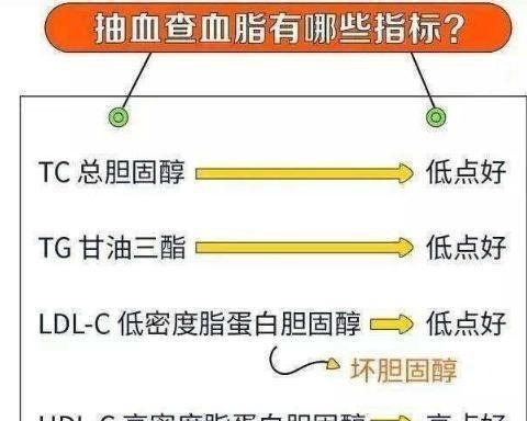 高血脂会制造血管垃圾！医生说：只有这样才能判断血脂高不高