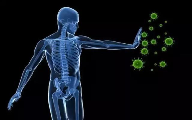 抗病毒，“免疫力”是人体的防护墙，教你3招，比吃啥补药都强