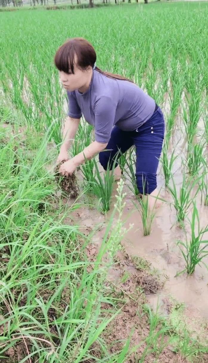 农村小媳妇干活真卖力,衣服都要弄脏了