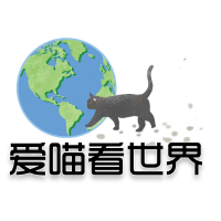 完整版女海盗电影 刺激剧情