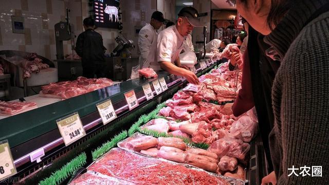 猪肉价格同比上涨85.7%,啥时候才能实现猪肉自由?预测结果来了 猪肉价格同比上涨85.7%,啥时候才能实现猪肉自由?预测结果来了