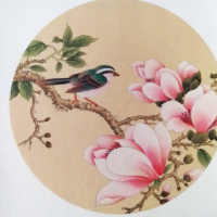 风中的羽翼是123456