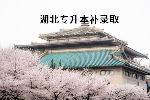 湖北专升本的补录取是什么意思？专升本考试补录什么时候开始？