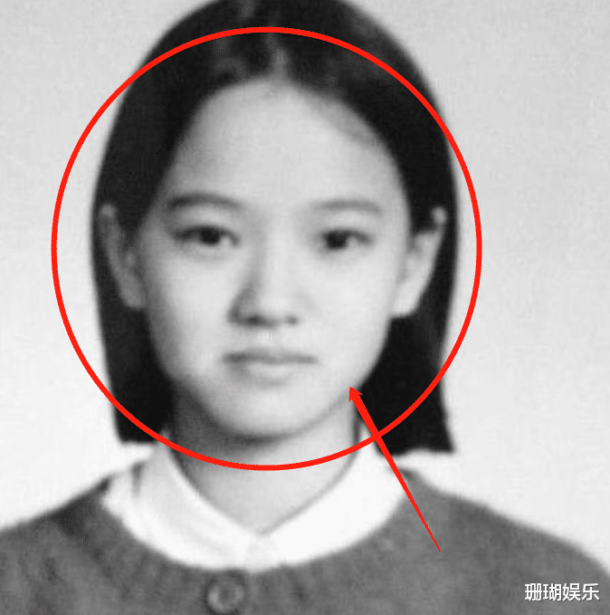 伊能静不同时期证件照曝光，截图放大三倍看五官，有无整容很显然