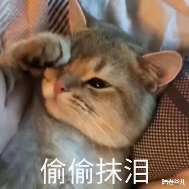 自考考不过，可以报成人高考吗？成人高考报考流程都有哪些