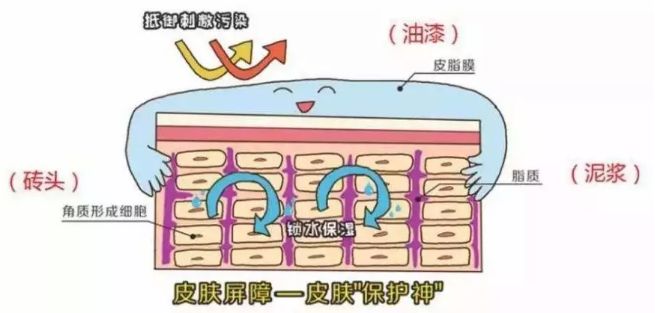 怎么判断护肤品假滑 原来这种叫假滑