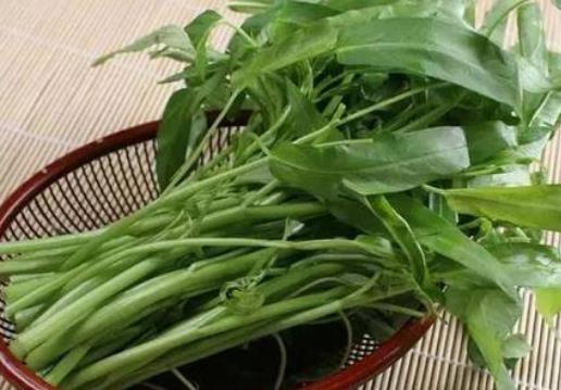 痛风患者可以吃空心菜吗?坐月子可以吃空心菜吗? 痛风患者可以吃空心菜吗?坐月子可以吃空心菜吗?