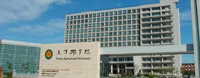 天津有什么好的二本学校?具体情况如何? 天津有什么好的二本学校?具体情况如何?