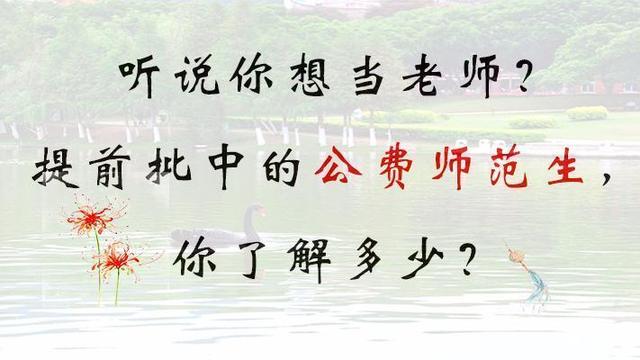 公费师范生疑难解答，想当老师，先要了解这四个问题.
