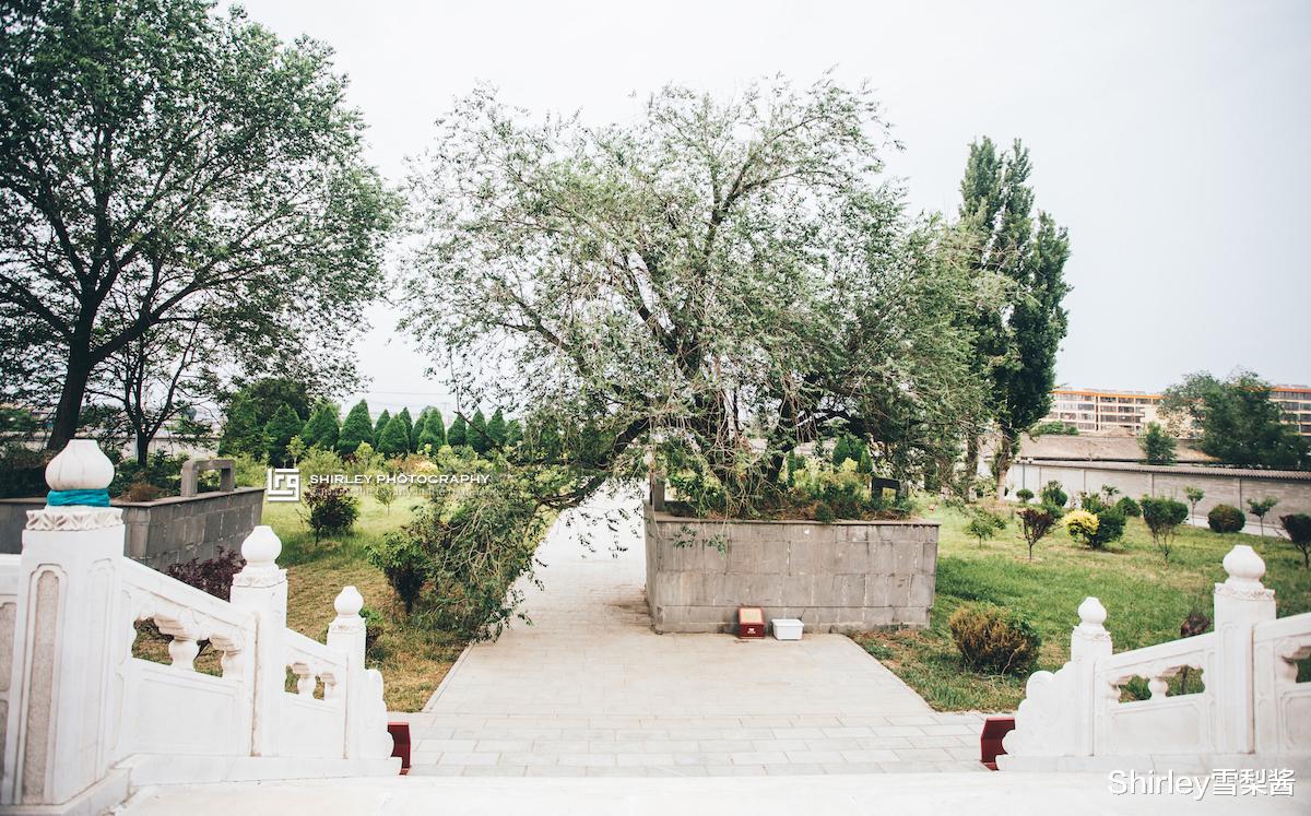 位于政府内的千年佛塔，地宫藏有佛舍利，游客可自由出入免费参观