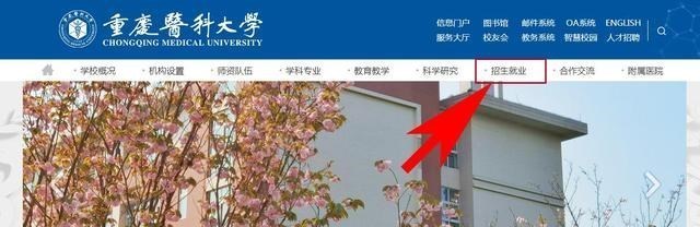 高考填志愿，为了保专业，在哪查到该大学某个专业的录取位次？
