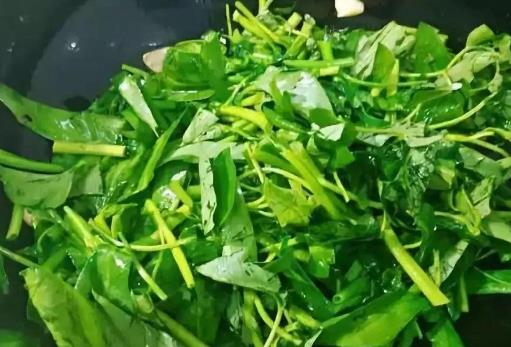 痛风患者可以吃空心菜吗?坐月子可以吃空心菜吗? 痛风患者可以吃空心菜吗?坐月子可以吃空心菜吗?