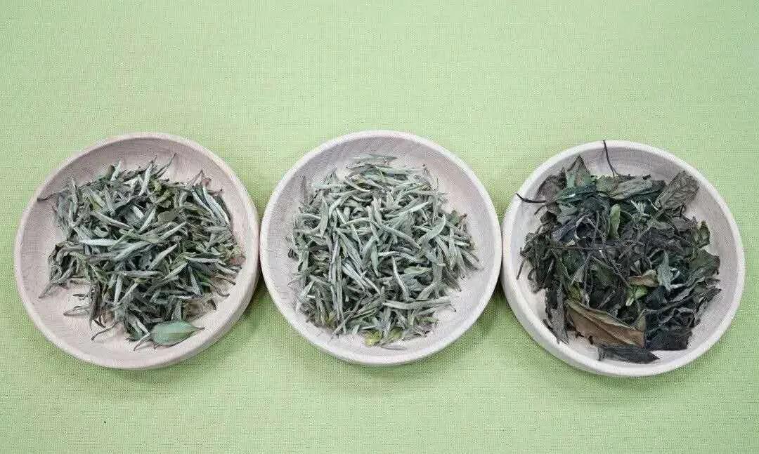 白牡丹茶的功效与作用