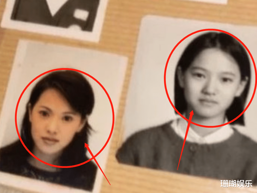 伊能静不同时期证件照曝光，截图放大三倍看五官，有无整容很显然