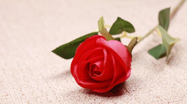 酒店内一对男女相拥告别,互打电话给老公老婆,对话内容让人无语