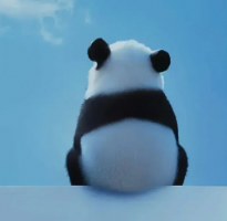 有点甜数码