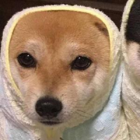 二伟爱说事