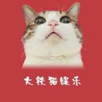 大铁猫娱乐说