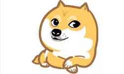 单身狗关爱计划