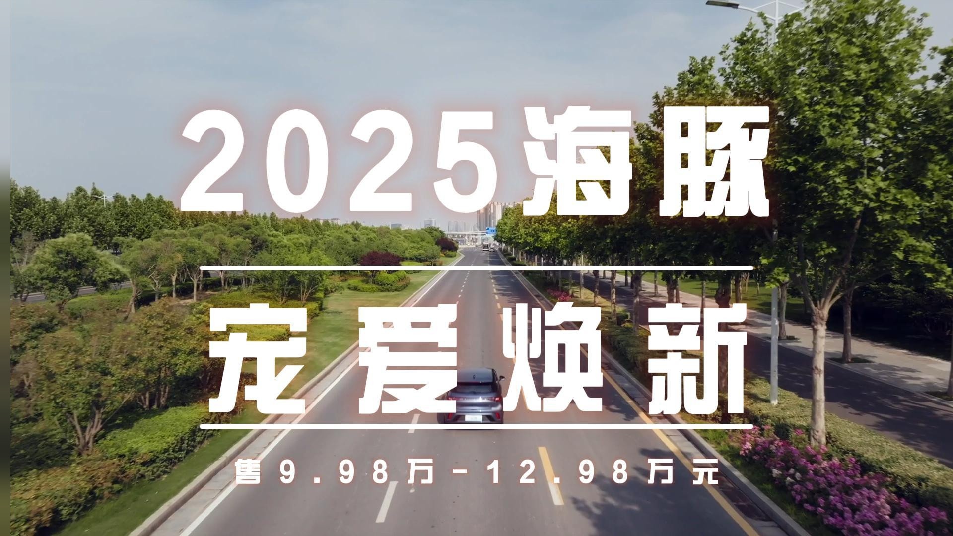 比亚迪2025款海豚宠爱焕新