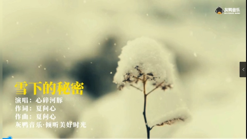 心碎河豚《雪下的秘密》