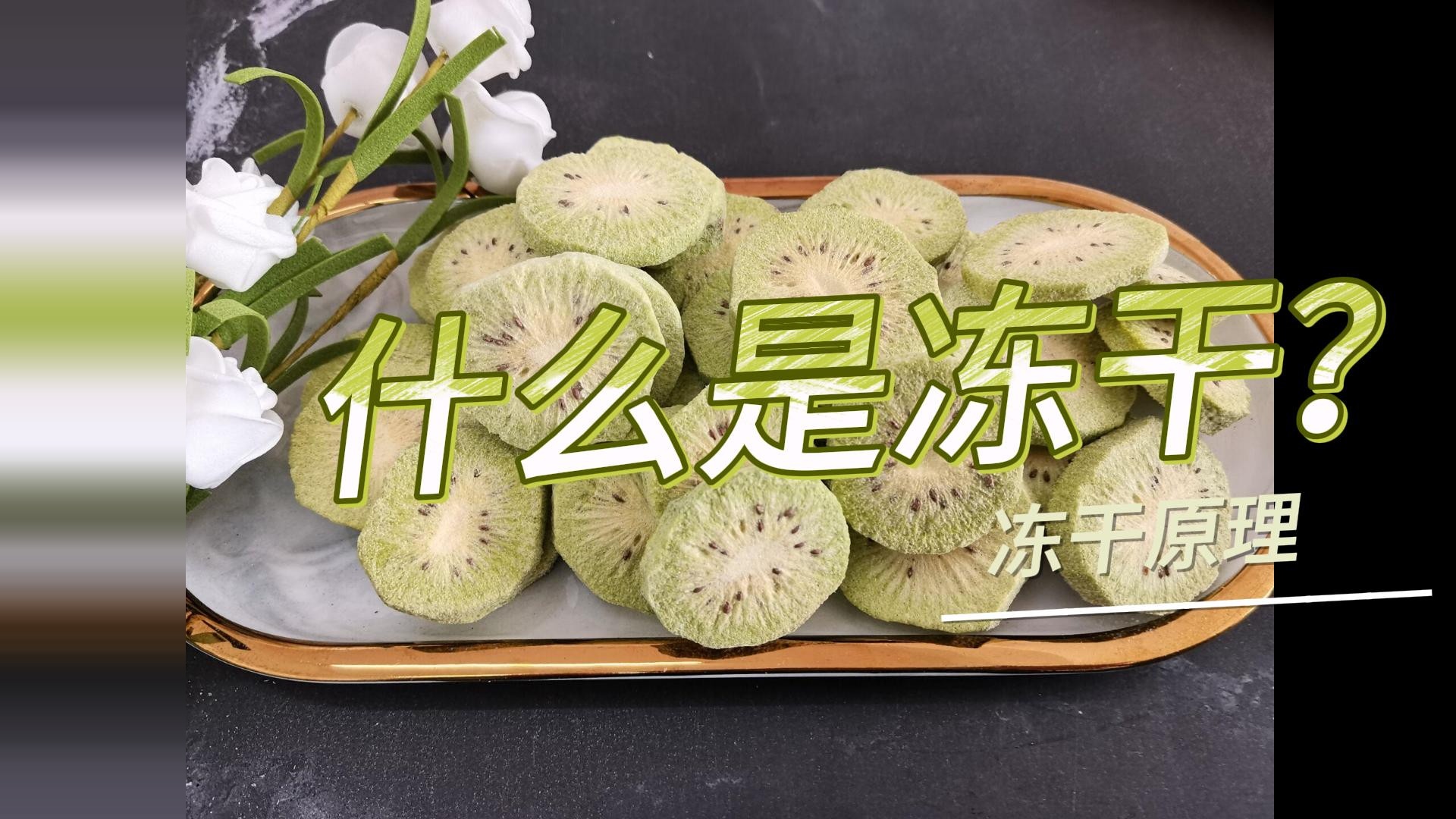 什么是冻干？#食品冻干机#果蔬冻干设备