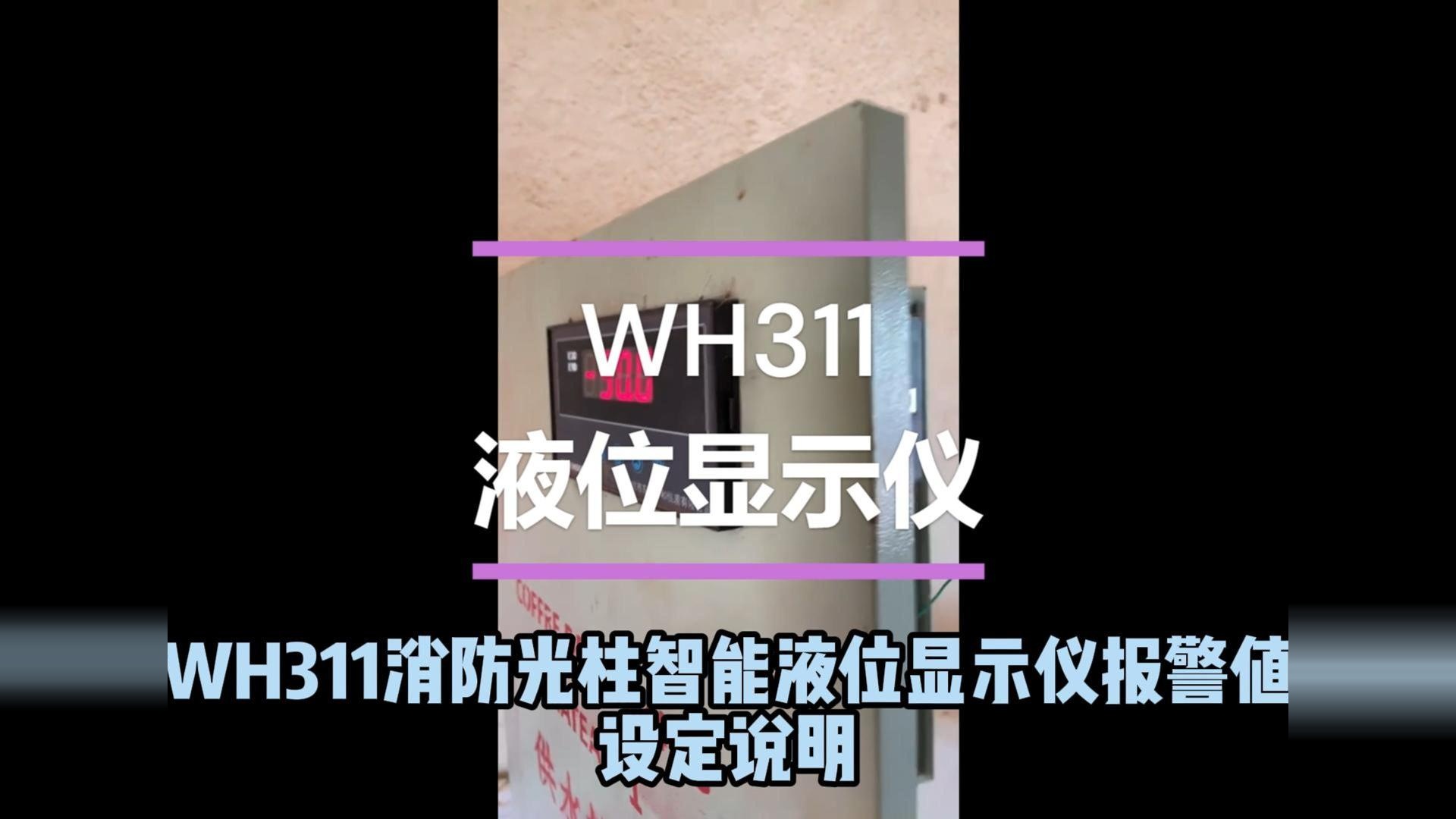 非洲生活水池抽水，液位显示仪国外应用WH311#记录农村美好生活