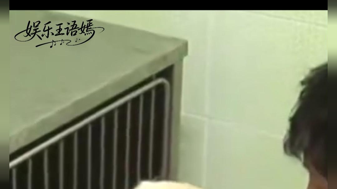 狗狗就是人间的天使