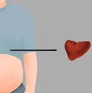 秋分|脾有病，人就废了一半！伤脾的习惯趁早改，脾或会慢慢变好