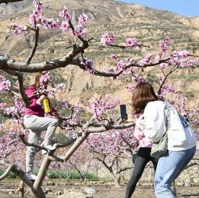 陇南广播电视台 春风十里，都不如文明赏花的你