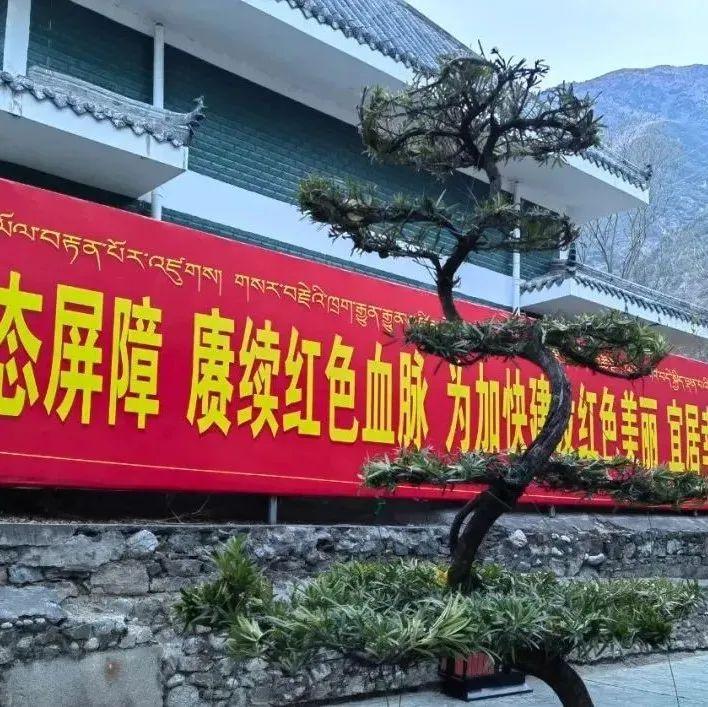发型 行道树：“换个发型迎新年”