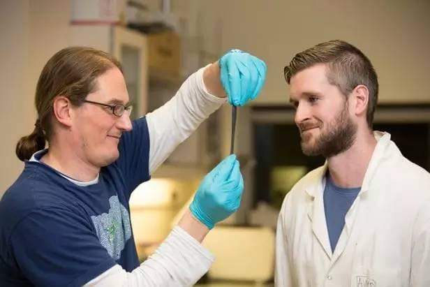 科学网-往橡皮泥里加入石墨烯,科学家制作出高