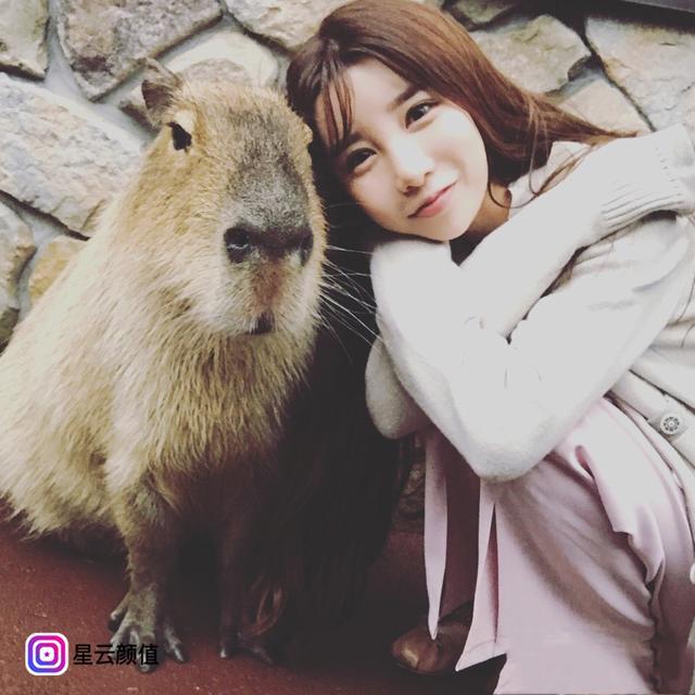 电竞王菲，小baby，赵本山女儿，这些女主播收入堪比明星！