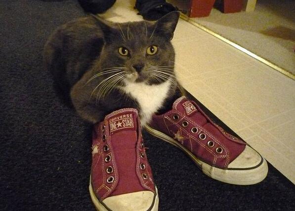 粑粑铃铛丑鞋猜成语_粑粑图片恶心