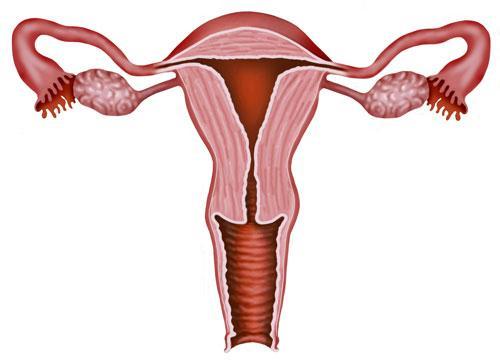 输卵管堵塞会引起宫外孕吗 怎么判断宫外孕和