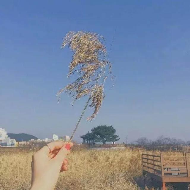 现在沉稳淡定都是曾经的天真换来的