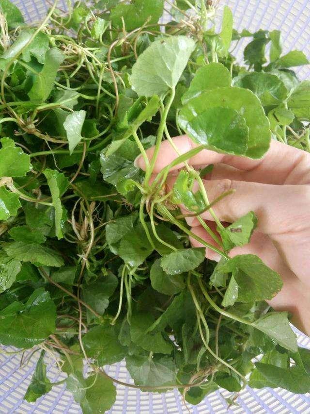 卡马西平片吃了危险吗 40岁似20这样吃: 每天3