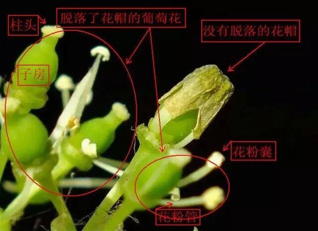 곱ʪ! ѻñΣ취