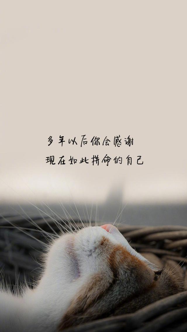 低头不是认输, 是要看清自己走的路