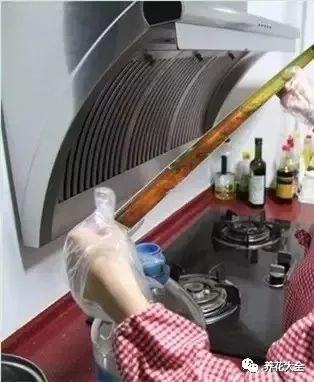 给花来点它, 叶子又绿又大, 虫子死光光盆都要炸开了