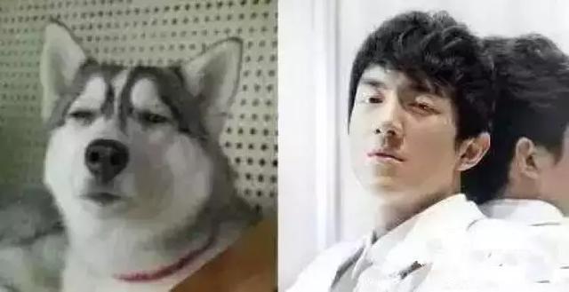 《楚乔传》编剧导演这样辩解剧中漏洞,网友:你把观众当傻子? 《楚乔传》编剧导演这样辩解剧中漏洞,网友:你把观众当傻子?