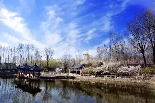 20所美国高校为何到一所中国国际高中办展?