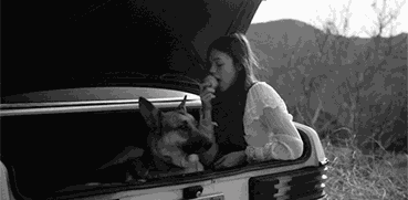 中6条以上, 说明TA不喜欢你了