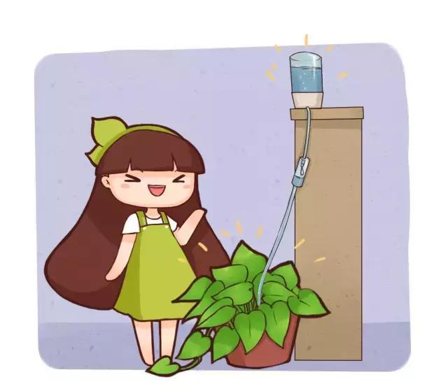 夏季天天浇水, 累死, 学他这样做, 给花自动浇水!