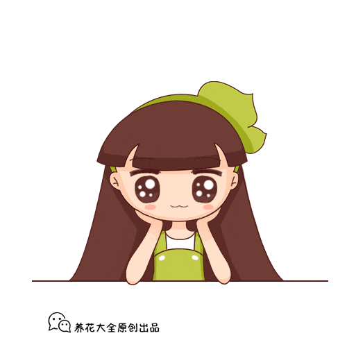 给花来点它, 叶子又绿又大, 虫子死光光盆都要炸开了