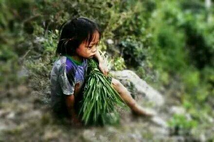 中国最贫穷十大的山区_直击贫穷山区的孩子: